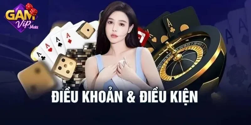 Điều khoản & điều kiện
